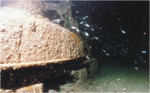 Keusgen 1973 Foto 11